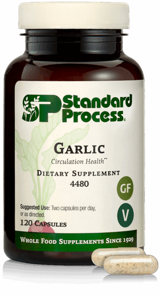 Garlic