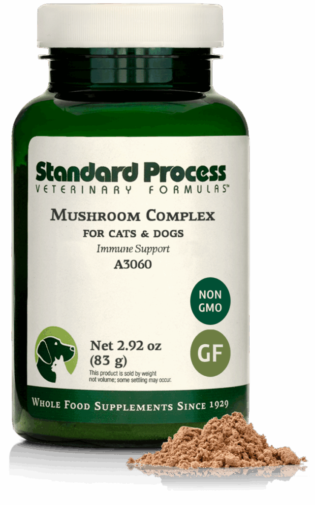 Mushroom Complex