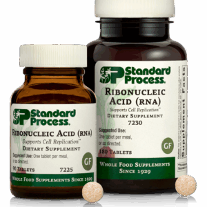 Ribonucleic Acid (RNA)
