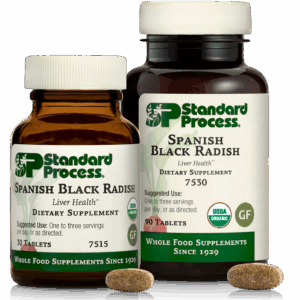 Spanish Black Radish