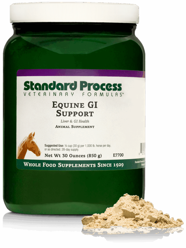 Equine GI Support