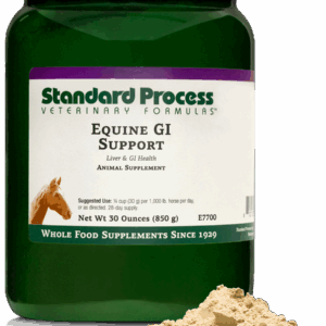 Equine GI Support