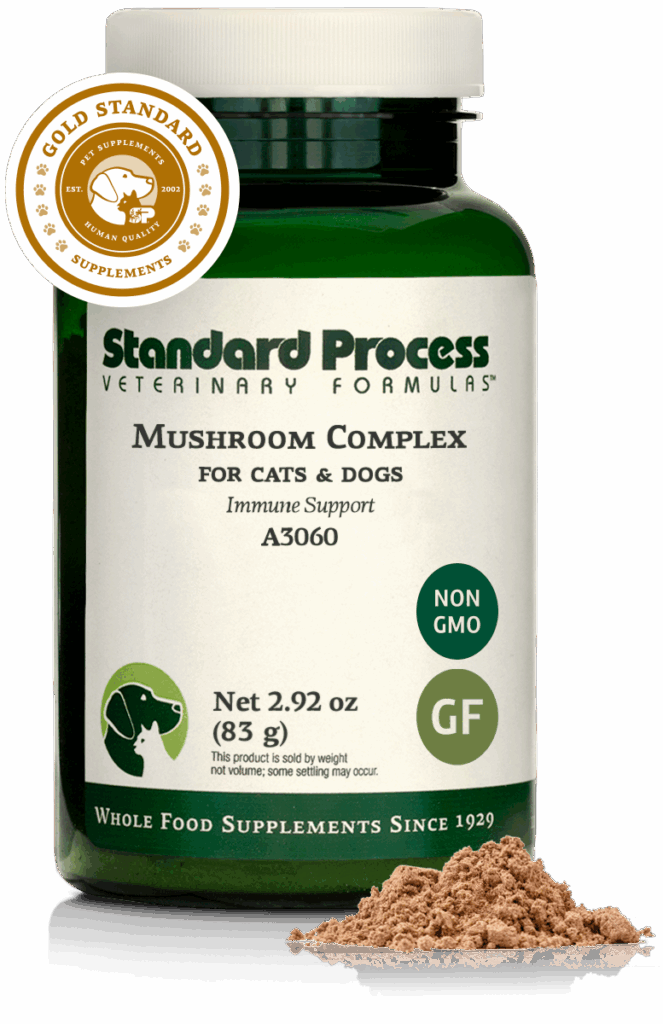 Mushroom Complex