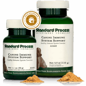 Canine Immune System Support