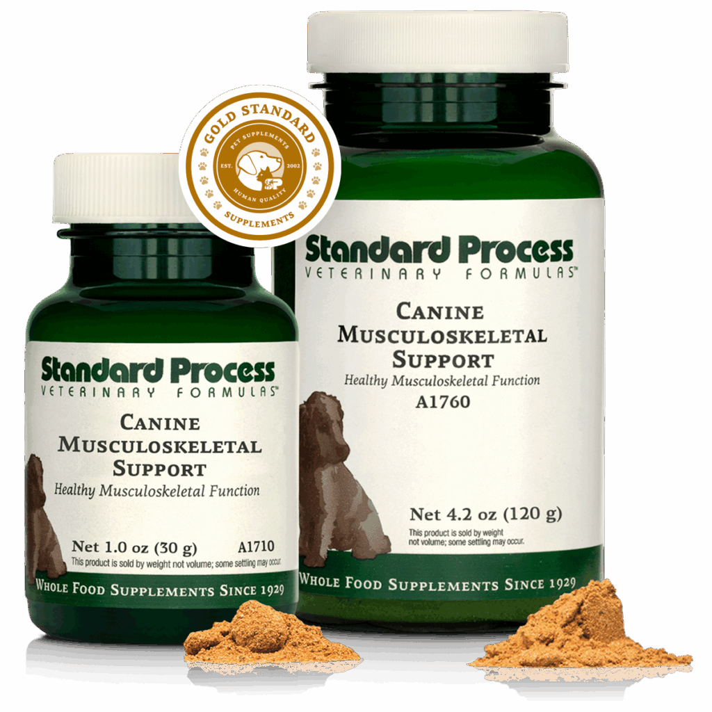 Canine Musculoskeletal Support
