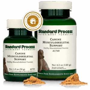 Canine Musculoskeletal Support
