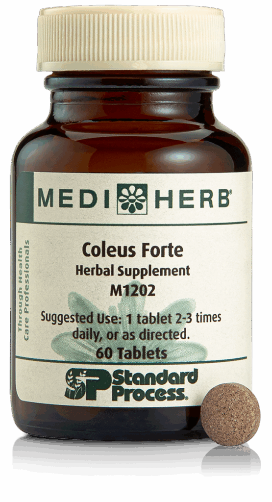 Coleus Forte