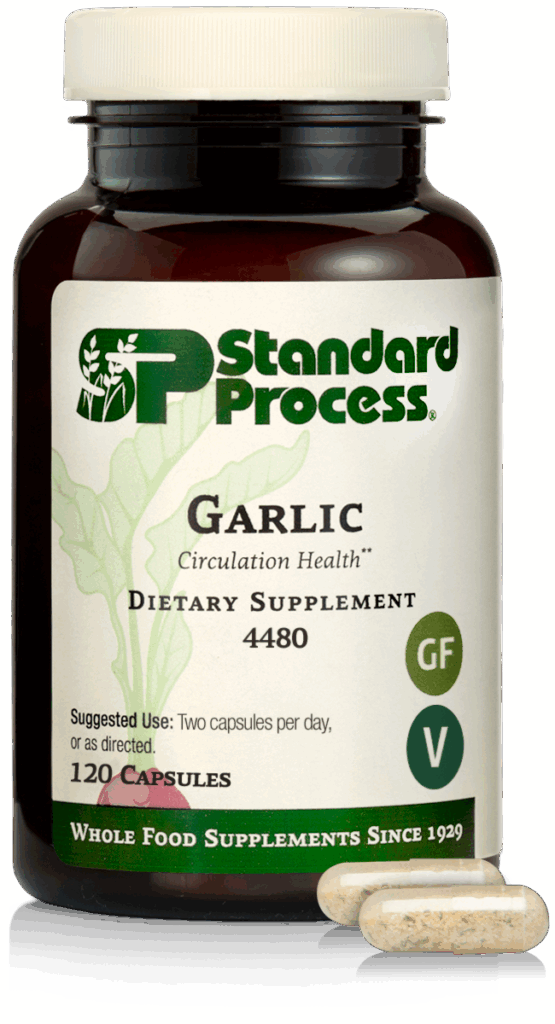 Garlic