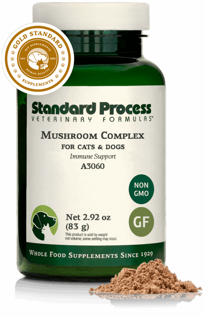 Mushroom Complex