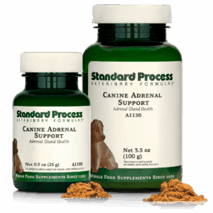 Canine Adrenal Support | Wholebody Solutions Canine Adrenal Support