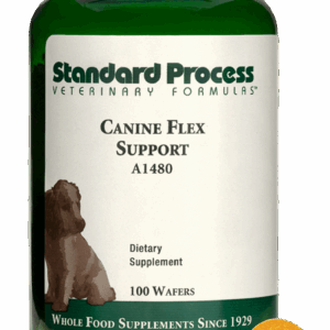 Canine Flex Support | Wholebody Solutions Canine Flex Support
