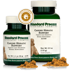 Canine Hepatic Support | Wholebody Solutions Canine Hepatic Support