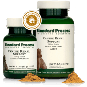 Canine Renal Support | Wholebody Solutions Canine Renal Support