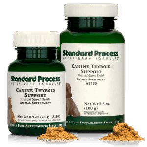 Canine Thyroid Support | Wholebody Solutions Canine Thyroid Support
