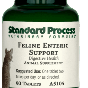 Feline Enteric Support | Wholebody Solutions Feline Enteric Support