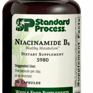 Niacinamide B6 | Wholebody Solutions Niacinamide B6