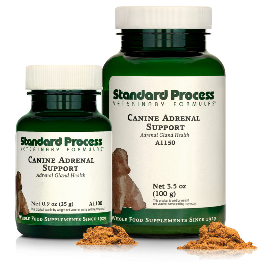 Canine Adrenal Support