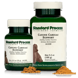 Canine Cardiac Support