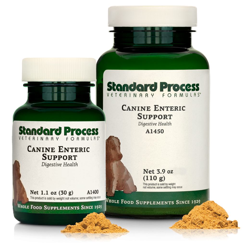 Canine Enteric Support