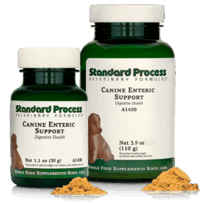 Canine Enteric Support