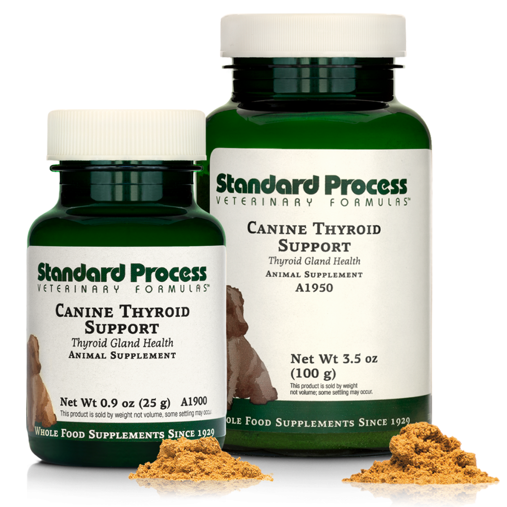 Canine Thyroid Support