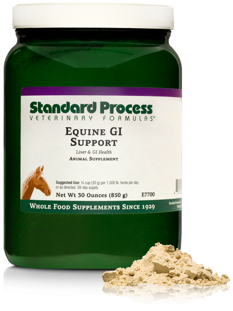 Equine GI Support