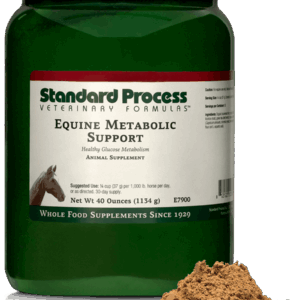 Equine Metabolic Support | Wholebody Solutions Equine Metabolic Support