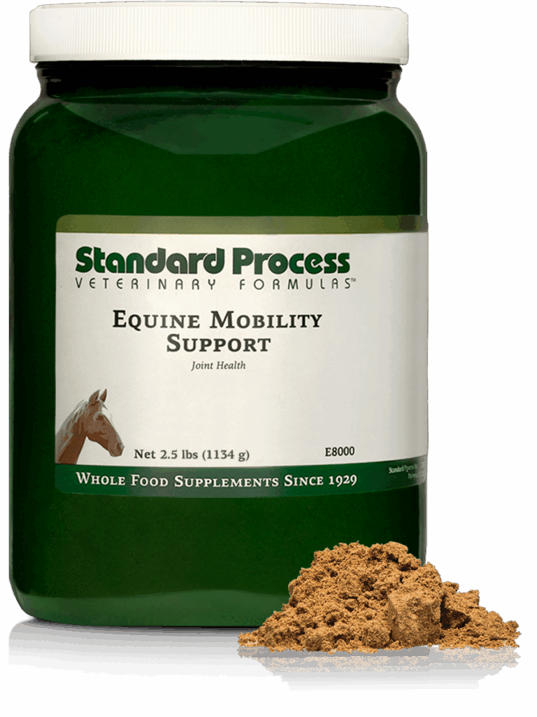 Equine Mobility Support