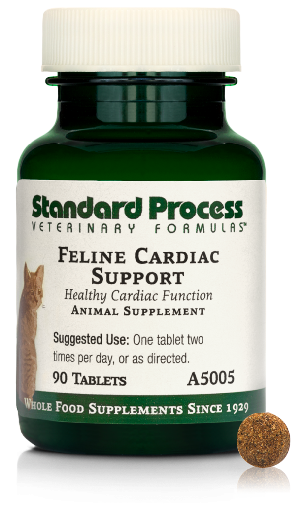Feline Cardiac Support