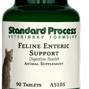 Feline Enteric Support | Wholebody Solutions Feline Enteric Support