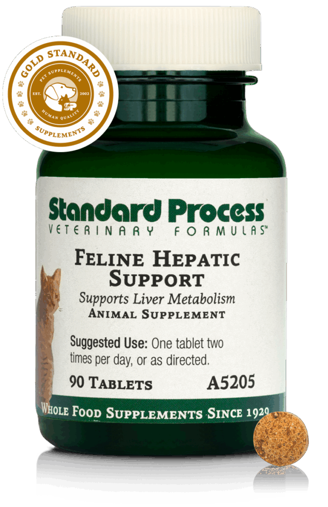 Feline Hepatic Support
