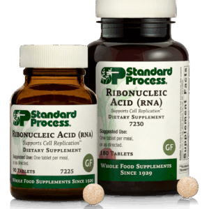 Ribonucleic Acid (RNA)