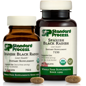 Spanish Black Radish | Wholebody Solutions Spanish Black Radish