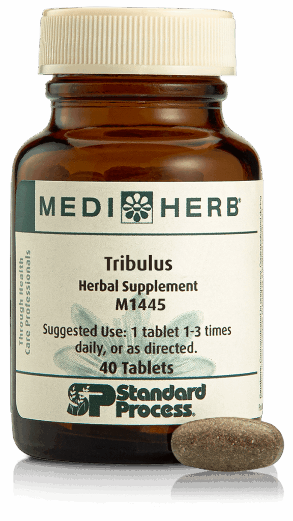 Tribulus
