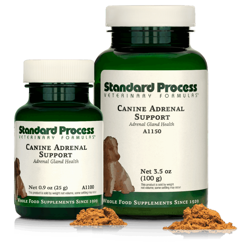 Canine Adrenal Support