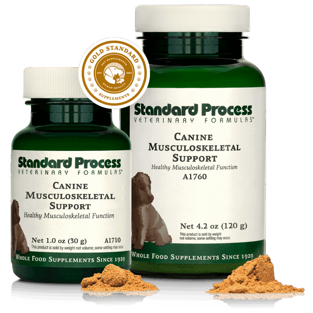 Canine Musculoskeletal Support