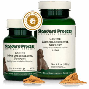 Canine Musculoskeletal Support