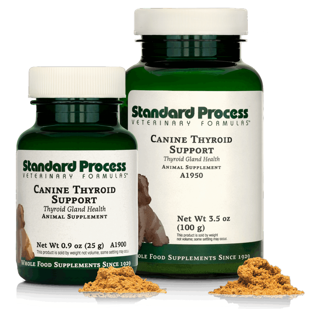 Canine Thyroid Support