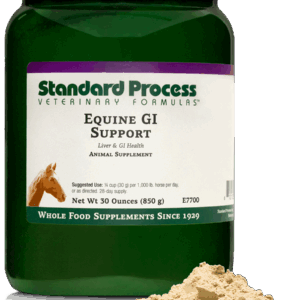 Equine GI Support