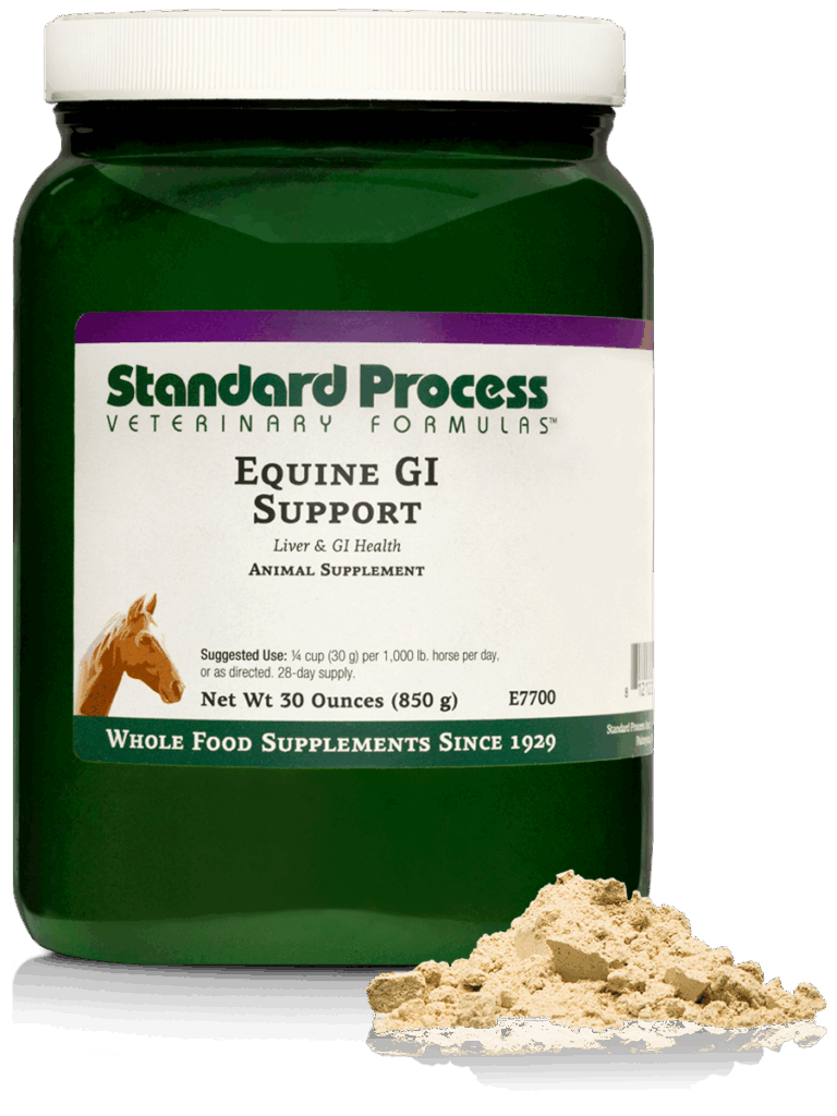 Equine GI Support
