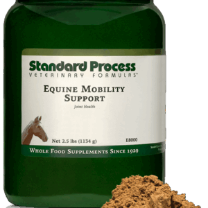 Equine Mobility Support