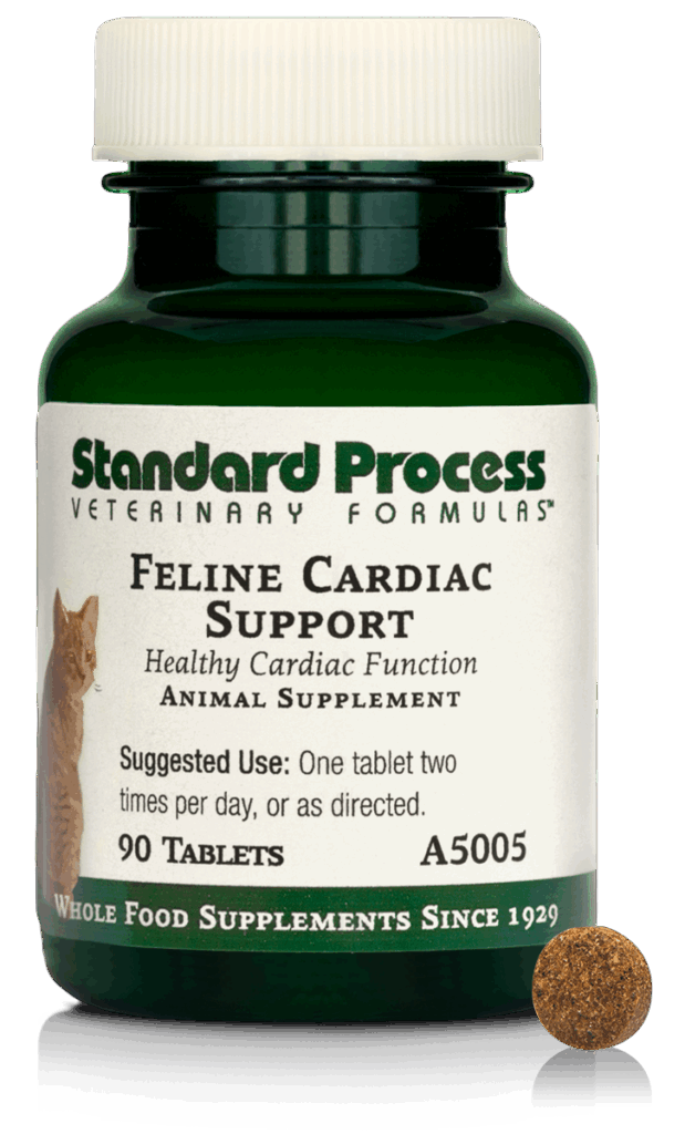 Feline Cardiac Support