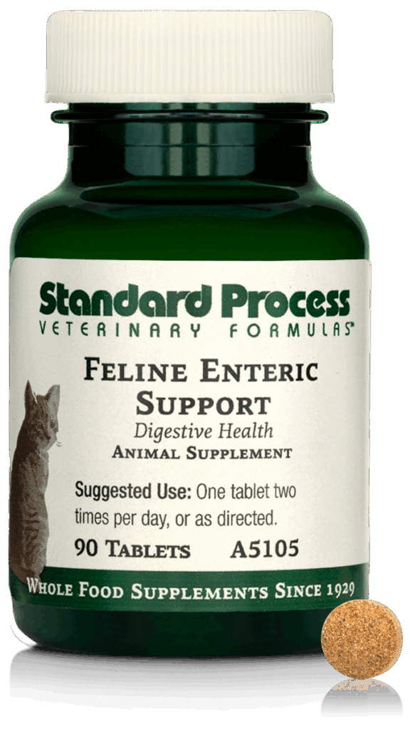 Feline Enteric Support