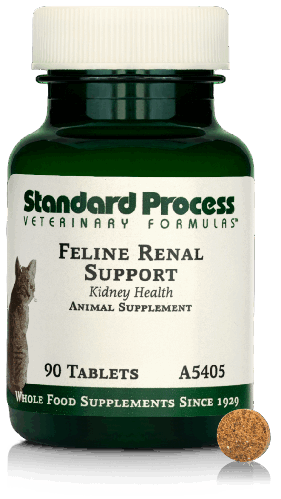Feline Renal Support