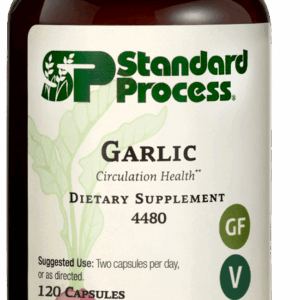 Garlic