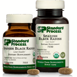 Spanish Black Radish