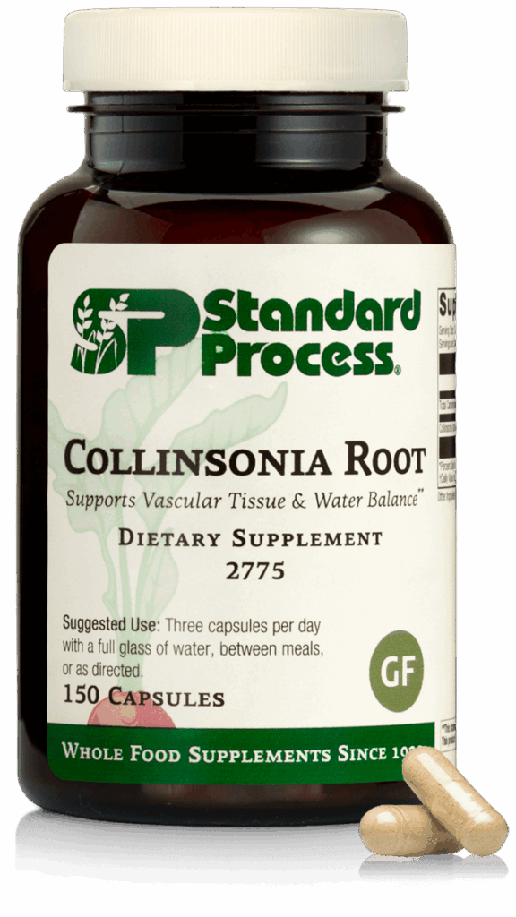 Collinsonia Root