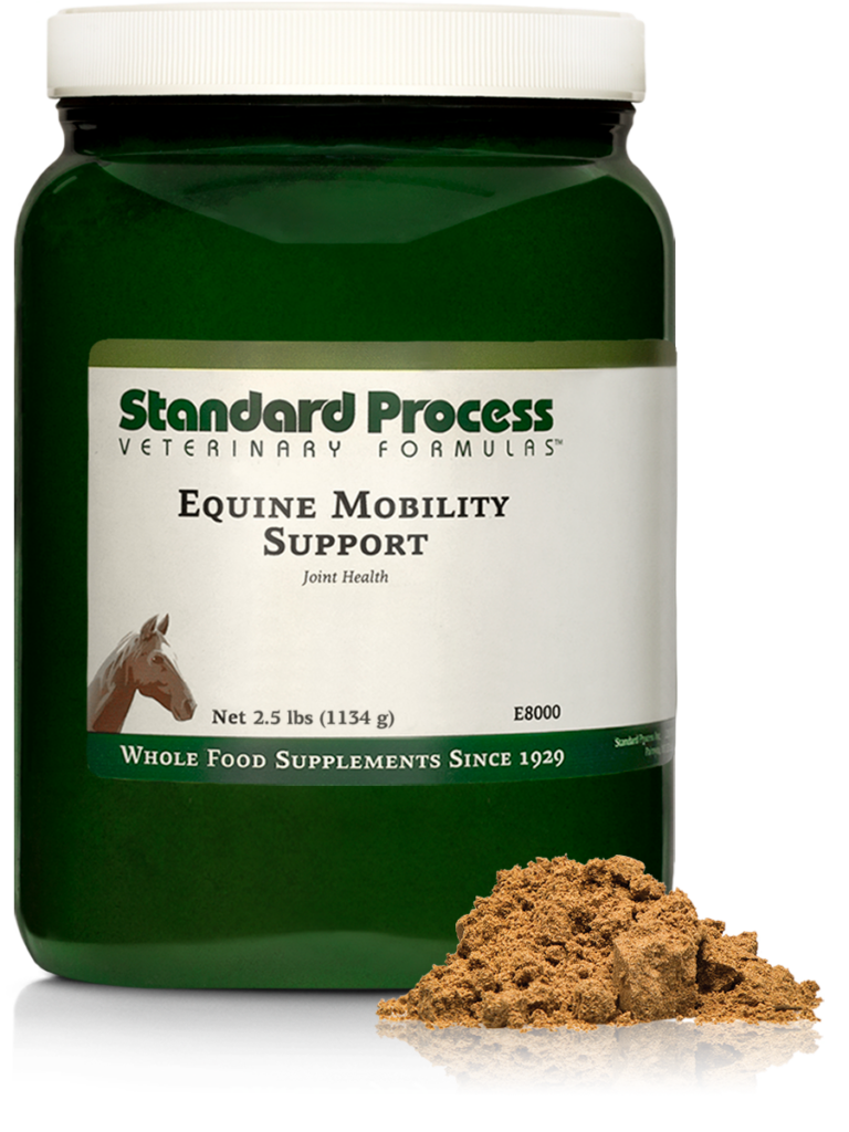 Equine Mobility Support