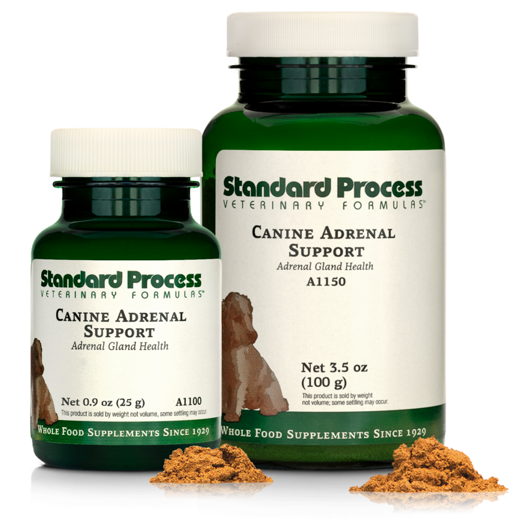 Canine Adrenal Support