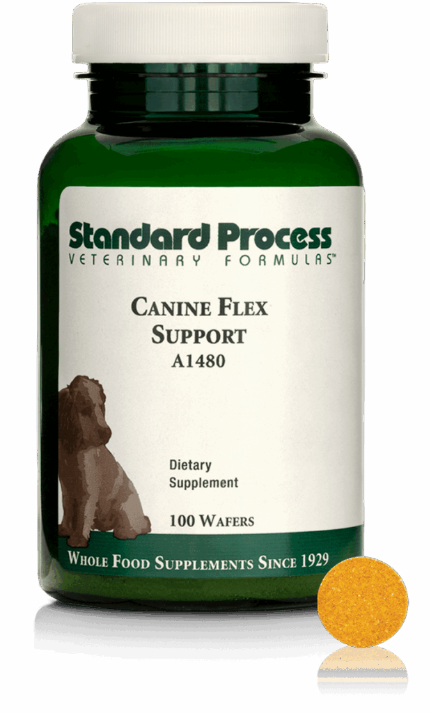 Canine Flex Support